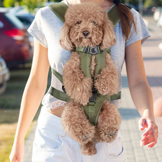 Sac à dos pour chien | Ventilé Aventure