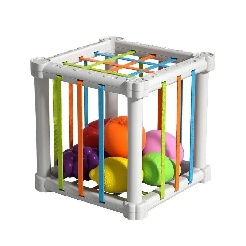 Montessori Sensory Toy for Children