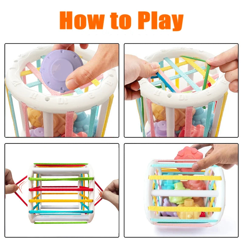 Montessori Sensory Toy for Children
