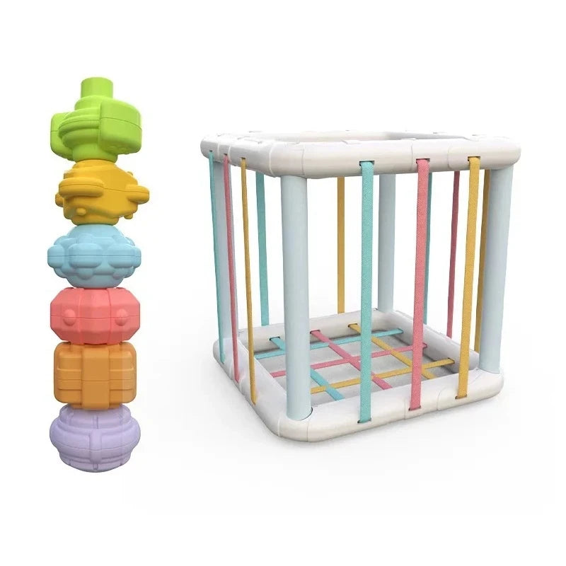 Montessori Sensory Toy for Children
