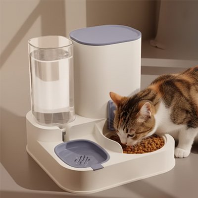 Distributeur de croquettes pour Chat