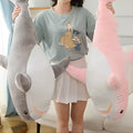 Peluche requin | DreamSoft