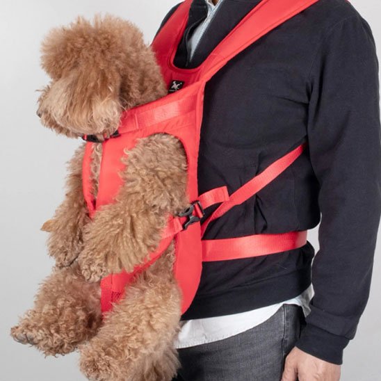 Sac à dos pour chien | Ventilé Aventure