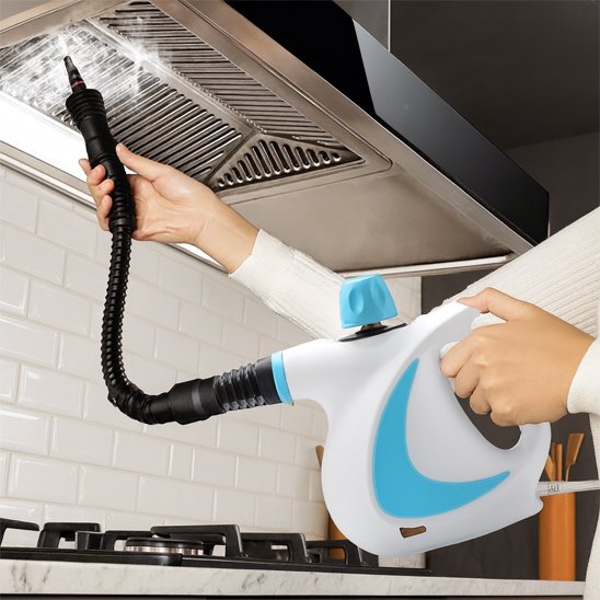 Nettoyeur vapeur à main | PureSteam