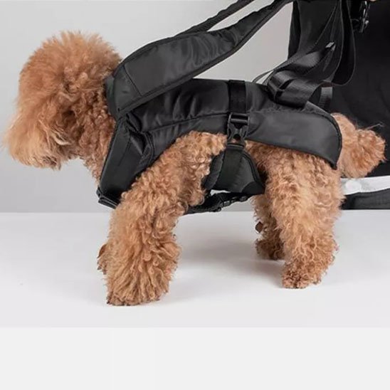 Sac à dos pour chien | Ventilé Aventure