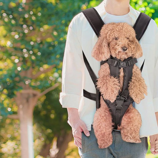 Sac à dos pour chien | Ventilé Aventure