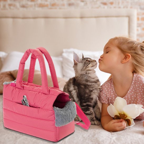 sac de transport pour chat