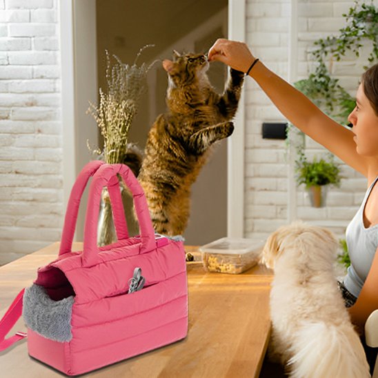 sac de transport pour chat
