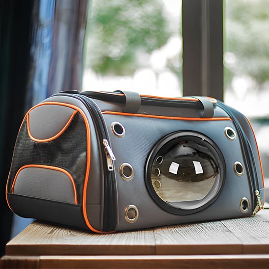 sac de transport pour chat